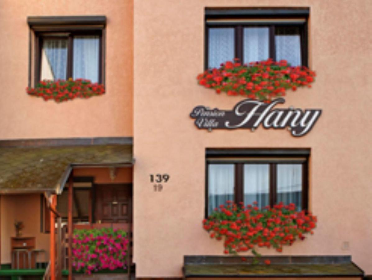 Pension Villa Hany Marianske Lazne Exterior foto