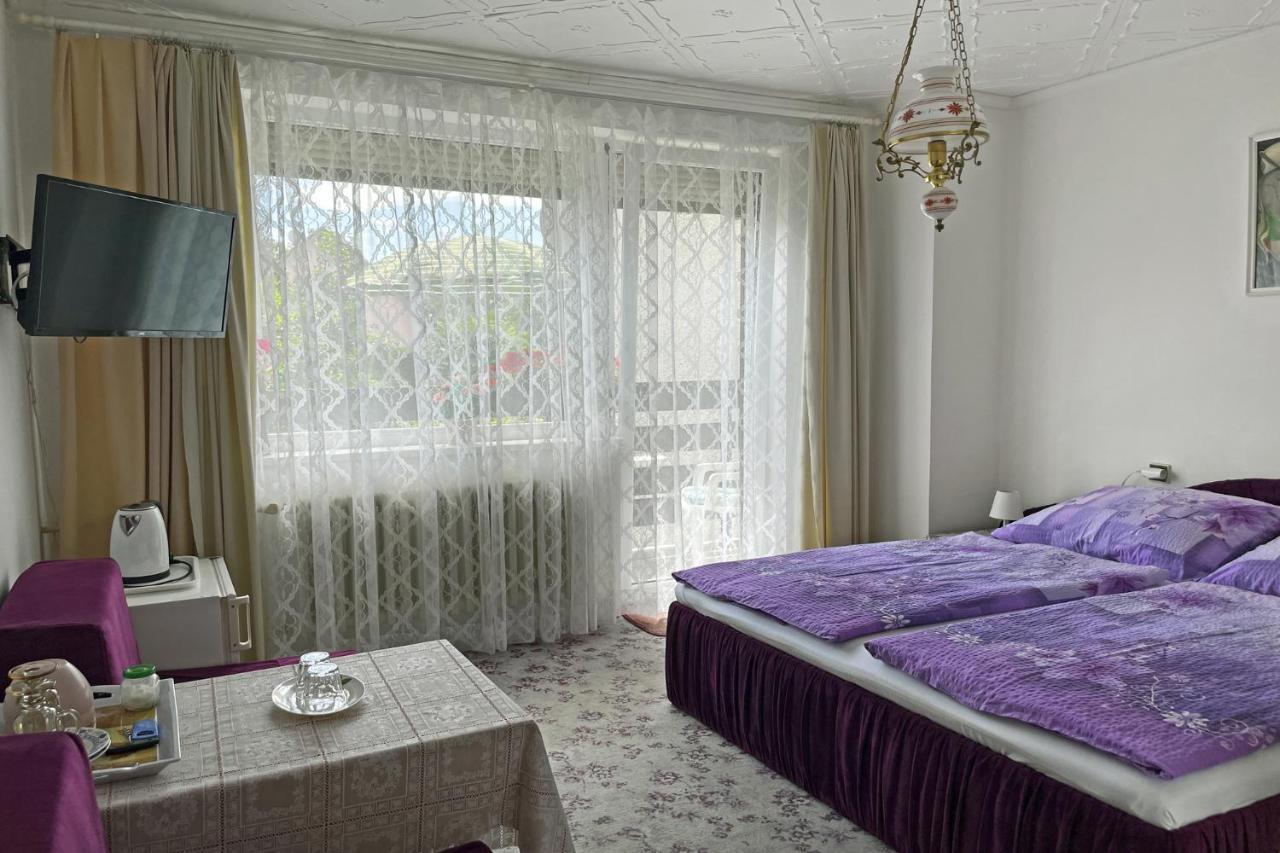 Pension Villa Hany Marianske Lazne Exterior foto