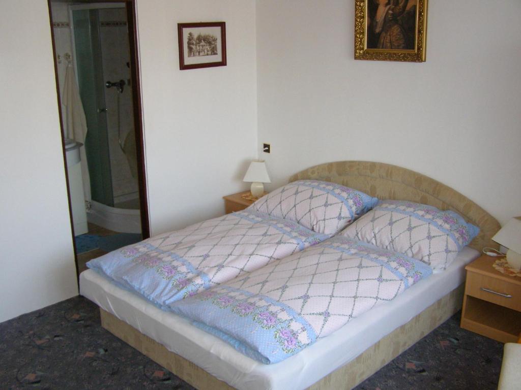 Pension Villa Hany Marianske Lazne Quarto foto